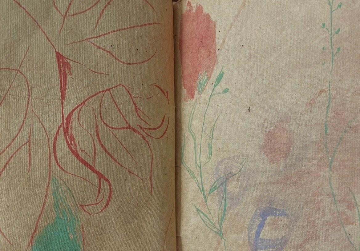 Open sketchbook with delicate botanical watercolor sketches. Original artwork by Lauren